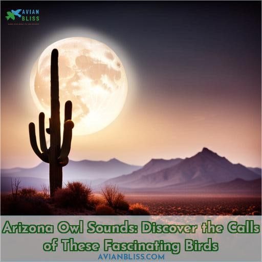 arizona owl sounds