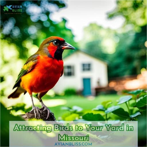 Attracting Birds to Your Yard in Missouri