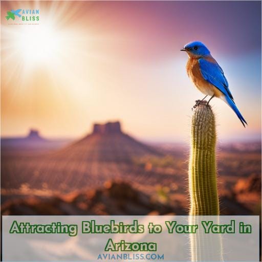 Attracting Bluebirds to Your Yard in Arizona