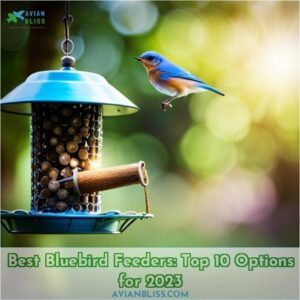 best bluebird feeder