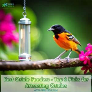 best oriole feeders