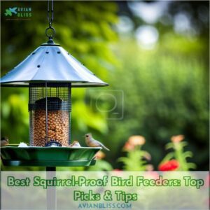 best squirrel proof bird feeder