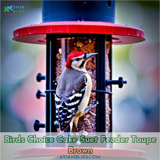 Birds Choice Cake Suet Feeder Taupe Brown