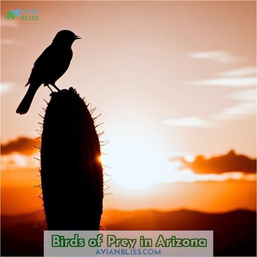Birds of Prey in Arizona