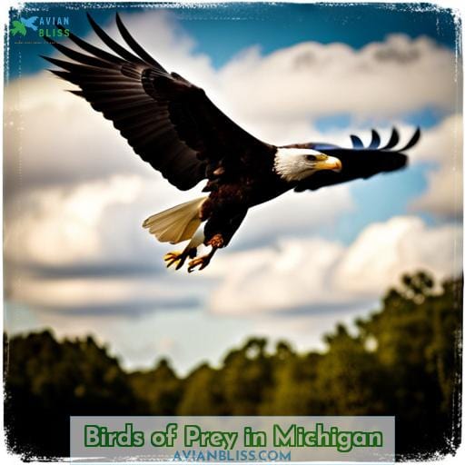 Birds of Prey in Michigan