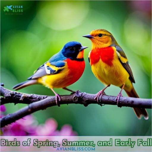 Birds of Spring, Summer, and Early Fall