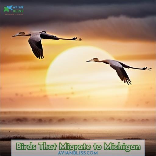 Birds That Migrate to Michigan