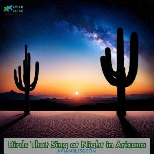 Birds That Sing at Night in Arizona