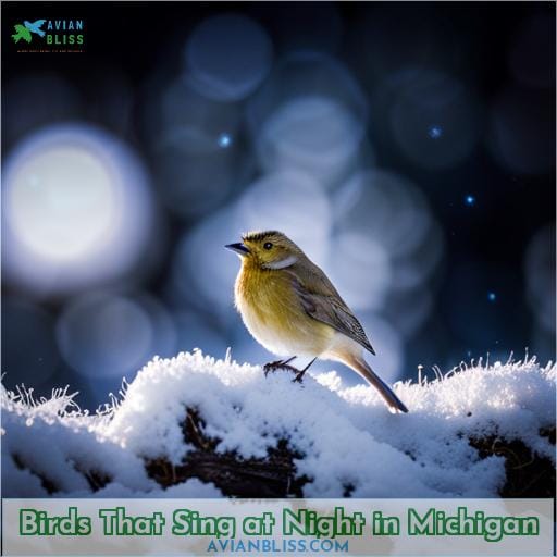 Birds That Sing at Night in Michigan