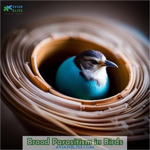 Brood Parasitism in Birds