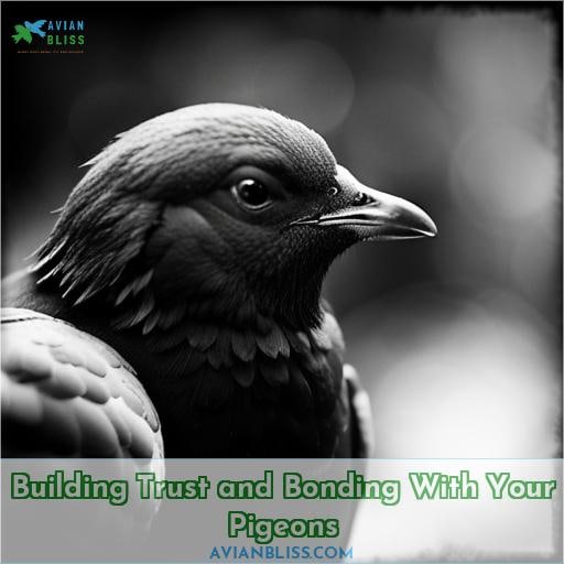 Building Trust and Bonding With Your Pigeons