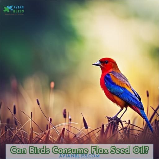 Can Birds Consume Flax Seed Oil