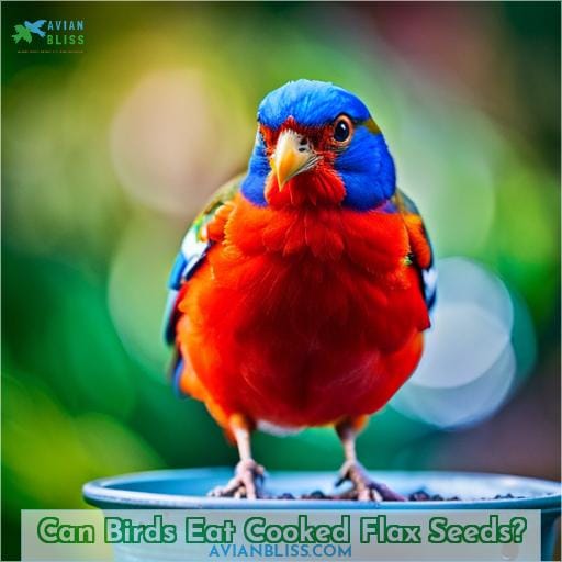Can Birds Eat Cooked Flax Seeds