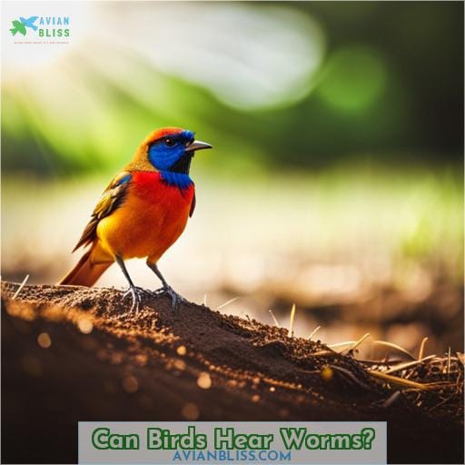Can Birds Hear Worms
