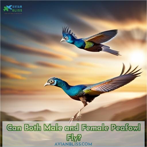 Can Both Male and Female Peafowl Fly