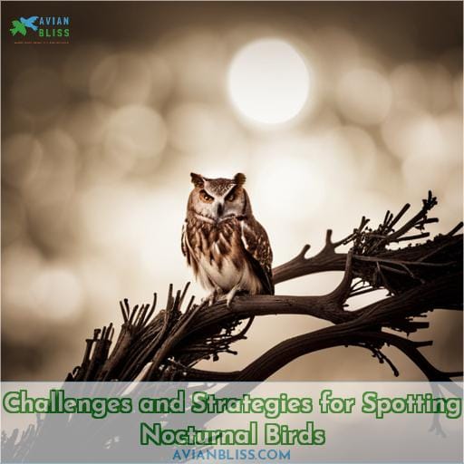 Challenges and Strategies for Spotting Nocturnal Birds