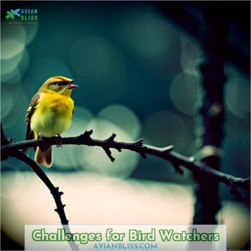 Challenges for Bird Watchers