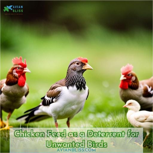 Chicken Feed as a Deterrent for Unwanted Birds