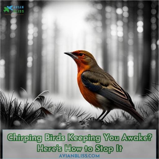 Chirping Birds Keeping You Awake? Here’s How to Stop It