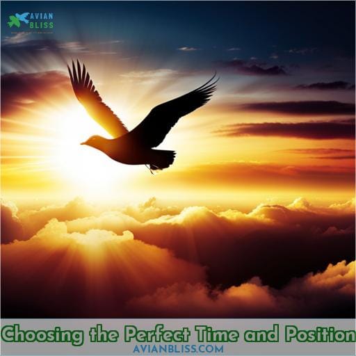 Choosing the Perfect Time and Position