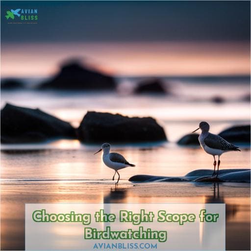 Choosing the Right Scope for Birdwatching