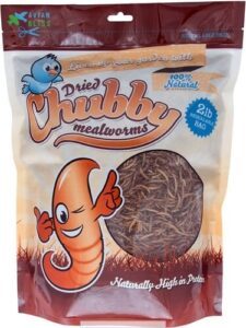 Chubby Mealworms Dried Mealworms
