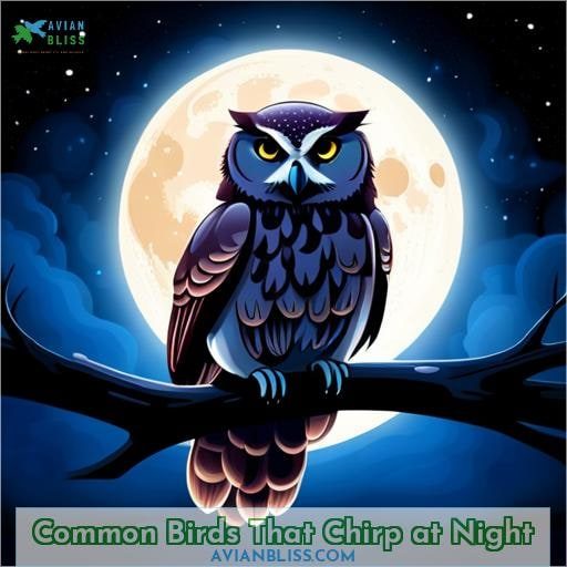 Common Birds That Chirp at Night