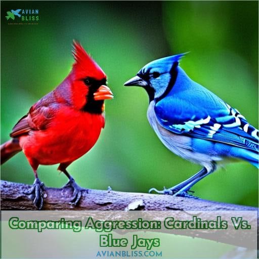 Comparing Aggression: Cardinals Vs. Blue Jays