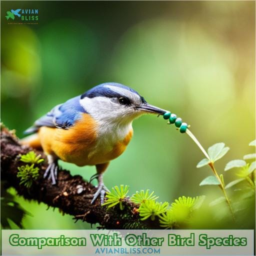 Comparison With Other Bird Species