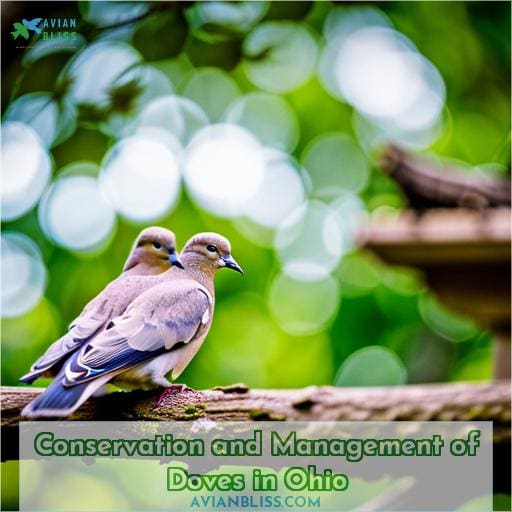 Conservation and Management of Doves in Ohio