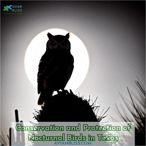 Conservation and Protection of Nocturnal Birds in Texas