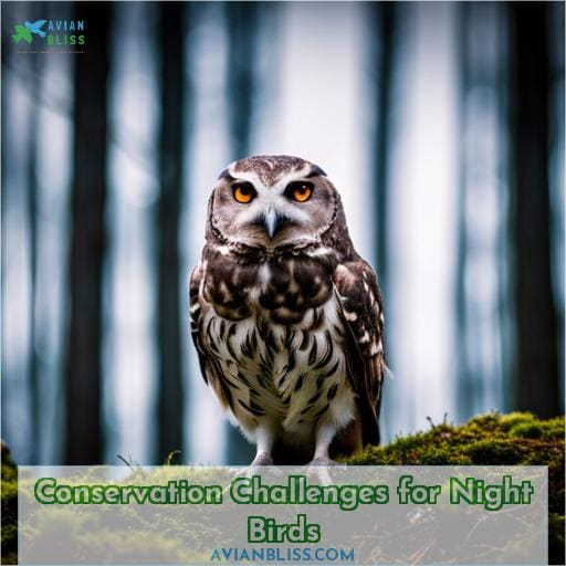 Conservation Challenges for Night Birds