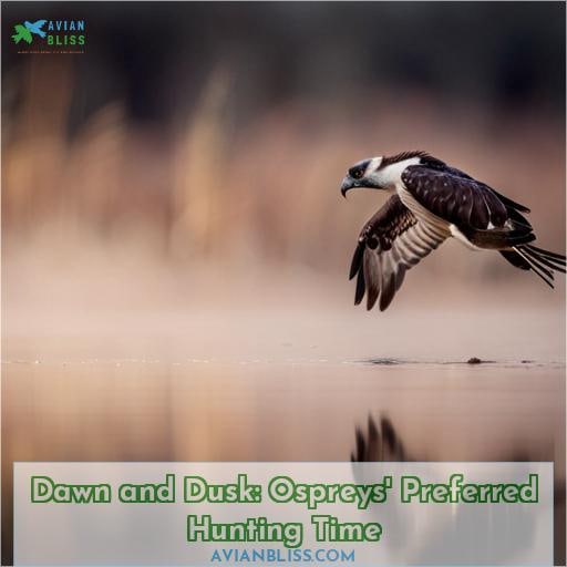 Dawn and Dusk: Ospreys