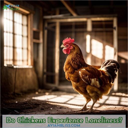 Do Chickens Experience Loneliness