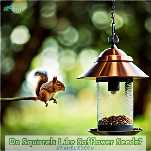 Do Squirrels Like Safflower Seeds