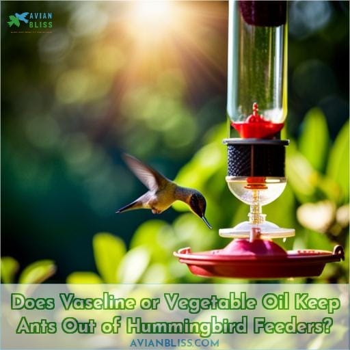 Does Vaseline or Vegetable Oil Keep Ants Out of Hummingbird Feeders