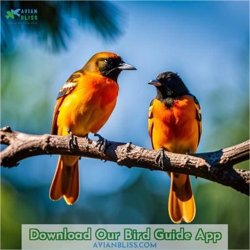 Download Our Bird Guide App