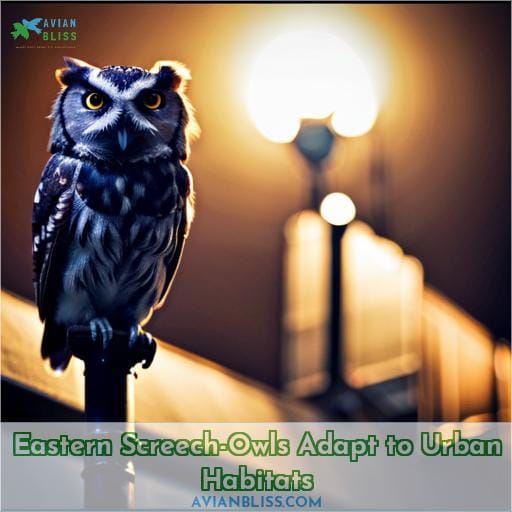Eastern Screech-Owls Adapt to Urban Habitats