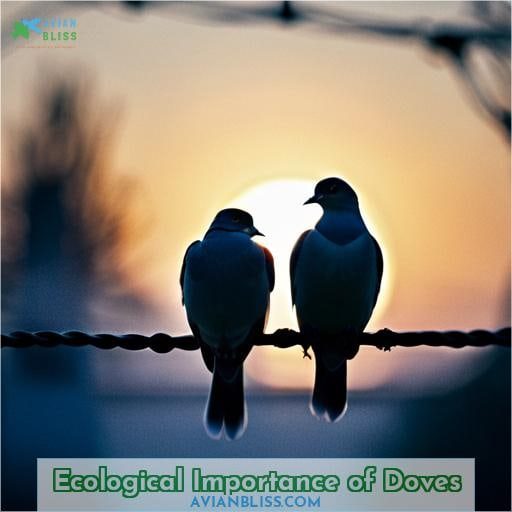 Ecological Importance of Doves