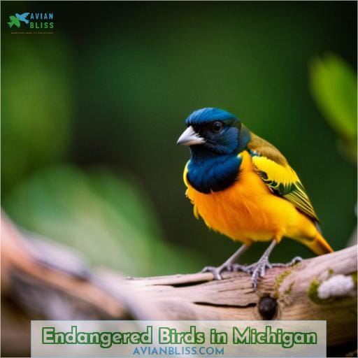Endangered Birds in Michigan