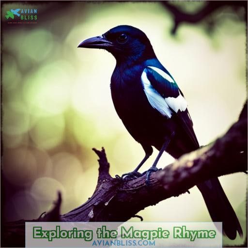 Exploring the Magpie Rhyme