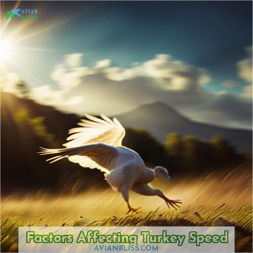 Factors Affecting Turkey Speed