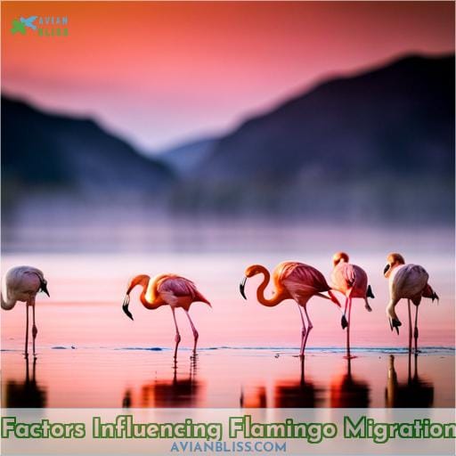 Factors Influencing Flamingo Migration