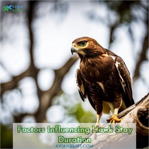 Factors Influencing Hawk Stay Duration