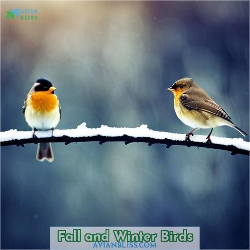 Fall and Winter Birds