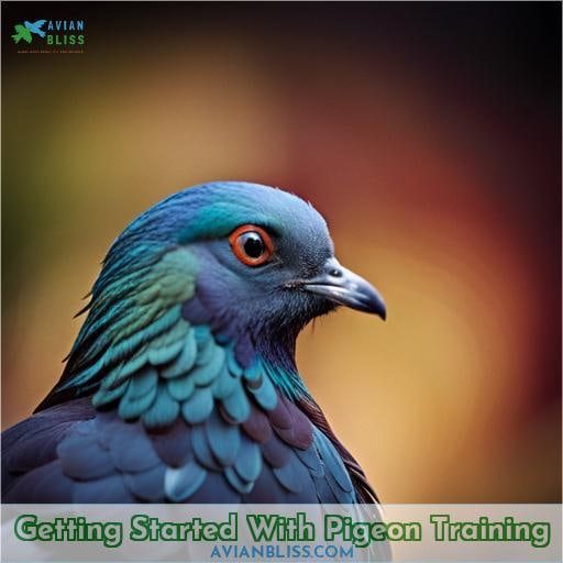 Getting Started With Pigeon Training