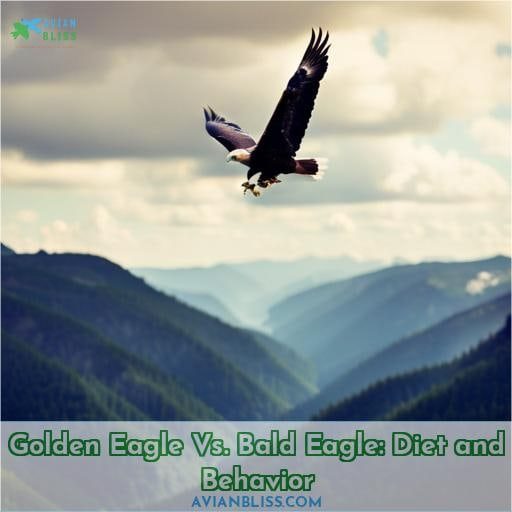 Golden Eagle Vs. Bald Eagle: Diet and Behavior