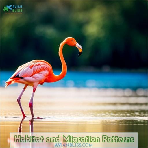 Habitat and Migration Patterns