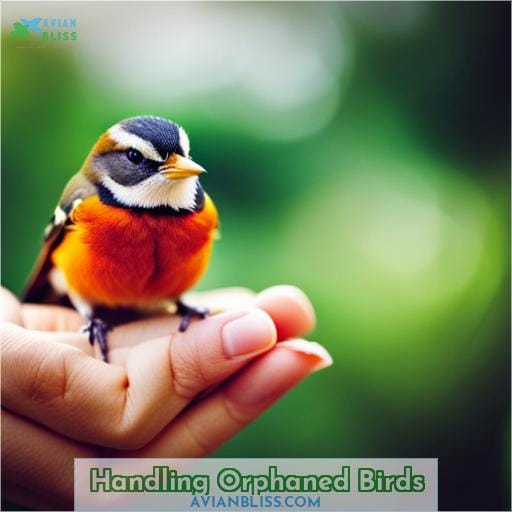 Handling Orphaned Birds