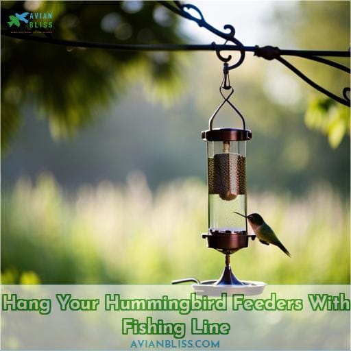 Hang Your Hummingbird Feeders With Fishing Line
